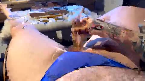 gt79802068 online show from January 2026 06:07:02 AM