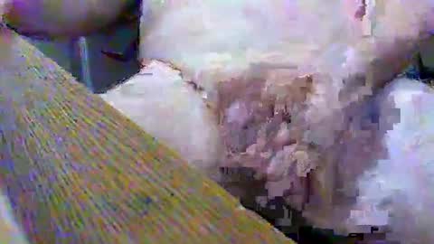 Gary online show from February 2025 03:39:01 PM