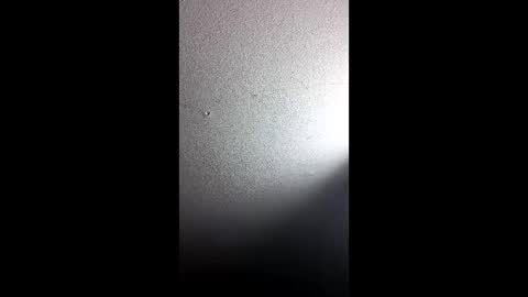 gudonoso online show from December 2025 08:19:02 AM