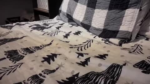 gumbywanna online show from January 2025 01:05:02 AM