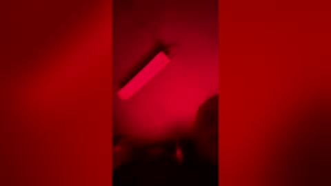 Snapshot of gypsynova777 chatting on April 2026 10:43:01 AM gypsynova777 online show from April 2026 10:43:01 AM