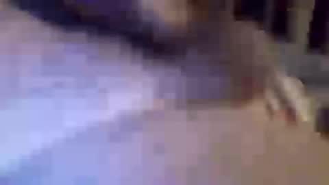 Snapshot of h_rd333 chatting on March 2025 01:45:01 PM h_rd333 online show from March 2025 01:45:01 PM