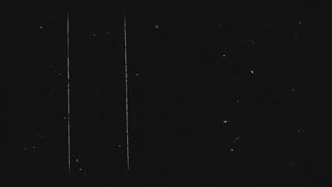 Haely online show from September 2025 11:21:02 AM