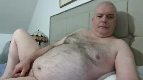 Snapshot of haggisstop chatting on November 2025 09:19:01 AM haggisstop online show from November 2025 09:19:01 AM