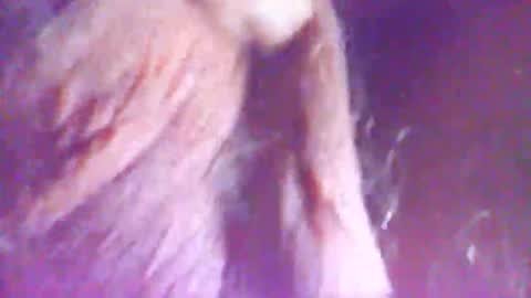 hagridthehorrible online show from December 2025 11:30:02 AM