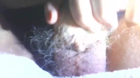 hagridthehorrible online show from January 2026 06:57:01 PM