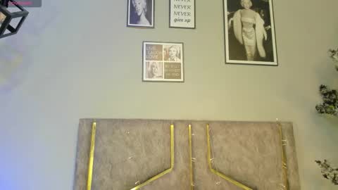 haileystonei online show from February 2026 11:25:02 AM