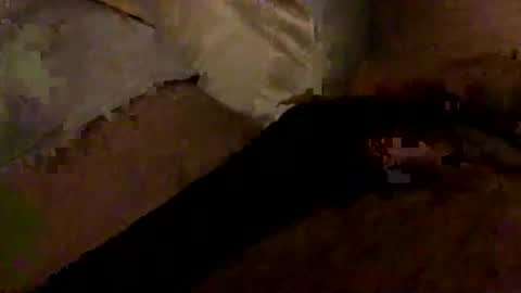 Snapshot of hairbear5 chatting on January 2026 03:30:02 AM Bruce online show from January 2026 03:30:02 AM