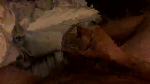 Snapshot of hairbear5 chatting on February 2026 03:45:01 AM Bruce online show from February 2026 03:45:01 AM