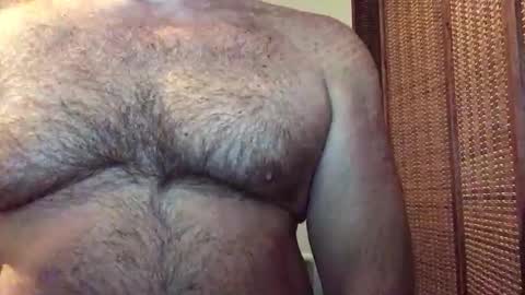 Bruce online show from May 2026 02:22:02 PM