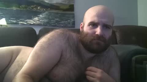 Snapshot of hairiestbear chatting on January 2025 06:03:01 AM Hairiest Bear online show from January 2025 06:03:01 AM