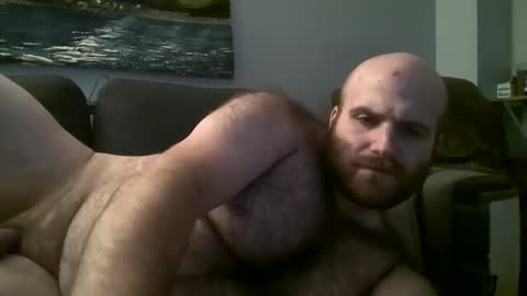 Snapshot of hairiestbear chatting on March 2025 08:16:01 AM Hairiest Bear online show from March 2025 08:16:01 AM