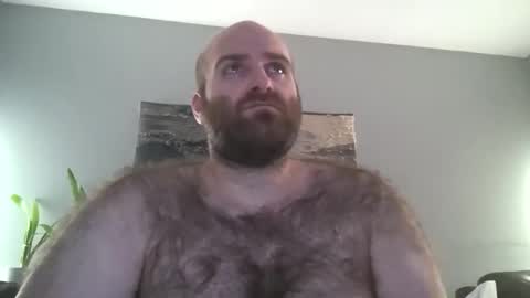 Hairiest Bear online show from December 2025 07:50:02 AM