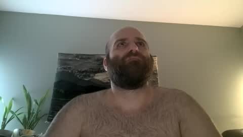 Hairiest Bear online show from March 2026 05:53:01 AM