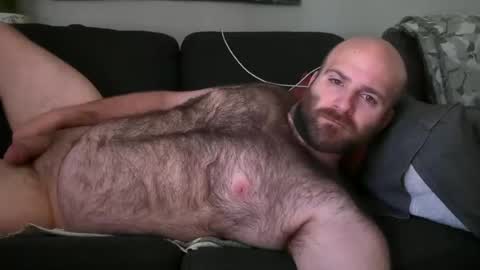 Hairiest Bear online show from June 2026 02:41:02 PM