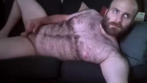 Snapshot of hairiestbear chatting on June 2026 07:36:01 PM Hairiest Bear online show from June 2026 07:36:01 PM