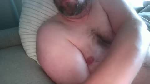 hairybear987 online show from June 2026 01:24:02 PM