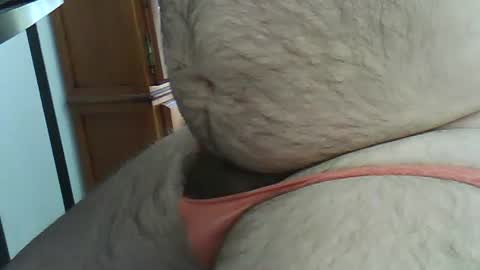 hairybeary1 online show from May 2026 03:08:01 PM