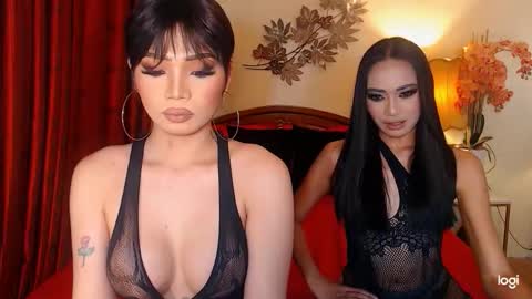 Snapshot of haisleypalmer chatting on February 2026 09:12:02 AM YOUR SIDECHIC HAILEY online show from February 2026 09:12:02 AM