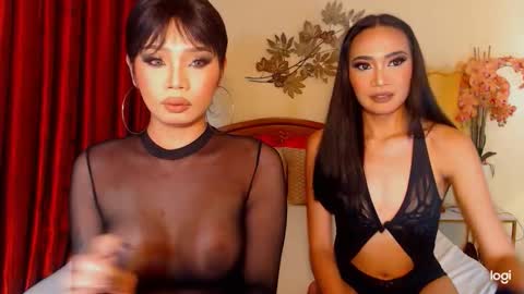 Snapshot of haisleypalmer chatting on February 2026 06:48:01 PM YOUR SIDECHIC HAILEY online show from February 2026 06:48:01 PM