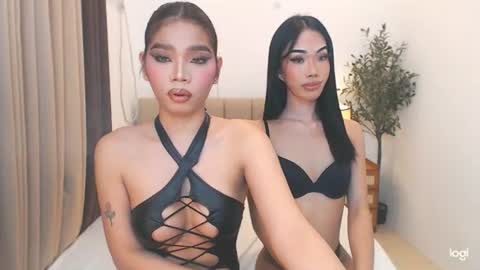 Snapshot of haisleypalmer chatting on June 2026 08:09:02 PM YOUR SIDECHIC HAILEY online show from June 2026 08:09:02 PM