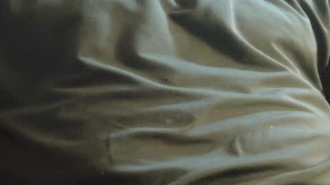 Snapshot of hamhead71 chatting on December 2024 10:03:02 PM hamhead71 online show from December 2024 10:03:02 PM