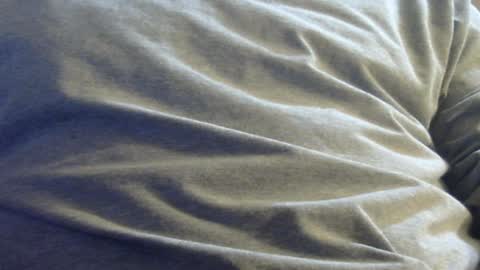 Snapshot of hamhead71 chatting on January 2025 03:17:02 AM hamhead71 online show from January 2025 03:17:02 AM