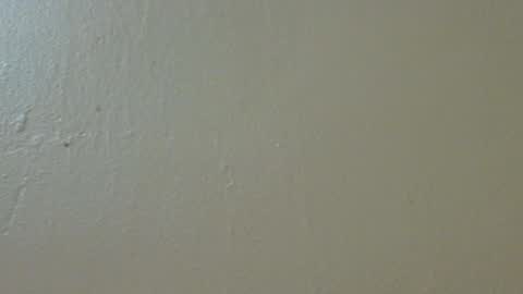 Snapshot of hamhead71 chatting on February 2025 09:52:01 PM hamhead71 online show from February 2025 09:52:01 PM