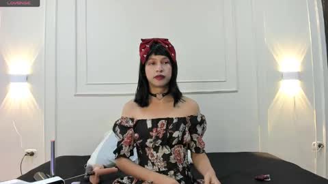 Snapshot of hamsel_dallas chatting on May 2026 08:49:01 PM Hamsel online show from May 2026 08:49:01 PM