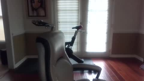 Han online show from February 2025 01:22:01 PM