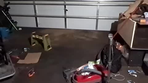 Snapshot of handsomerob42 chatting on November 2025 06:57:01 AM handsomerob42 online show from November 2025 06:57:01 AM