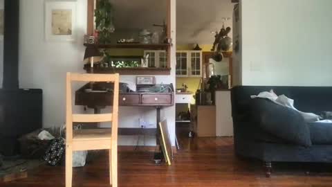 Snapshot of hanhuman chatting on September 2025 06:46:01 PM hanhuman online show from September 2025 06:46:01 PM