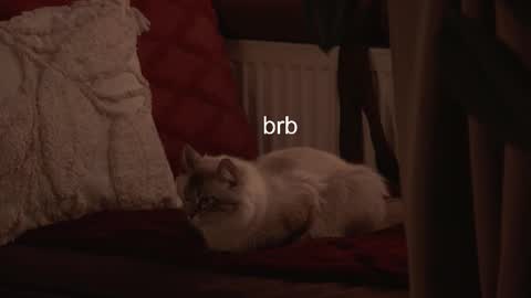 Hanna online show from February 2026 06:40:02 AM