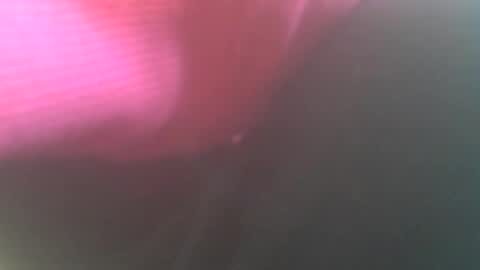 hannes_k online show from December 2024 09:55:01 AM