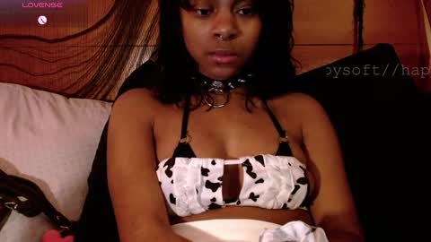 Snapshot of happysoft chatting on March 2025 02:15:02 PM meatwad online show from March 2025 02:15:02 PM