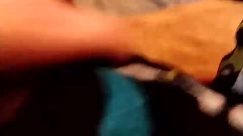 hardandhorny422 online show from December 2025 03:54:02 PM