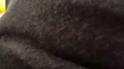hardandhorny422 online show from May 2026 12:12:02 PM