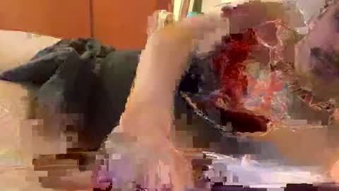 hardcock389397 online show from February 2026 03:39:01 AM