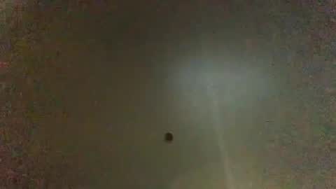 Snapshot of hardforyou3030 chatting on January 2025 02:56:01 AM For You online show from January 2025 02:56:01 AM