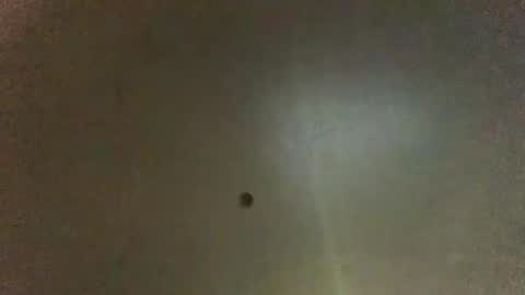 Snapshot of hardforyou3030 chatting on March 2025 08:52:01 AM For You online show from March 2025 08:52:01 AM