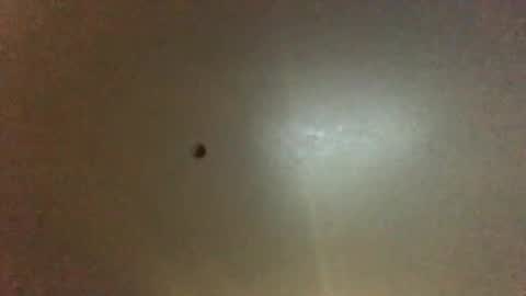 Snapshot of hardforyou3030 chatting on September 2025 11:21:01 PM For You online show from September 2025 11:21:01 PM