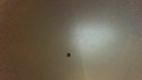 Snapshot of hardforyou3030 chatting on October 2025 12:05:02 AM For You online show from October 2025 12:05:02 AM