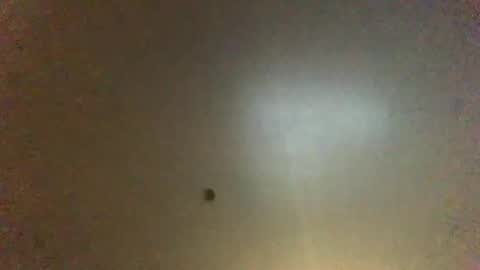 Snapshot of hardforyou3030 chatting on October 2025 09:56:01 PM For You online show from October 2025 09:56:01 PM