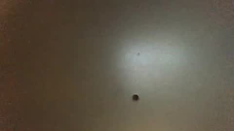 Snapshot of hardforyou3030 chatting on February 2026 11:23:01 PM For You online show from February 2026 11:23:01 PM