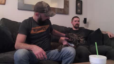 hardworkertn online show from April 2026 05:25:02 PM