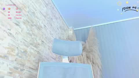 harper_ziu online show from November 2025 12:17:01 PM