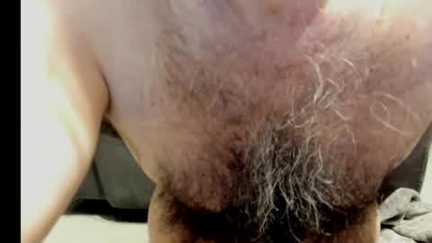 harry_banana online show from January 2025 11:54:02 AM