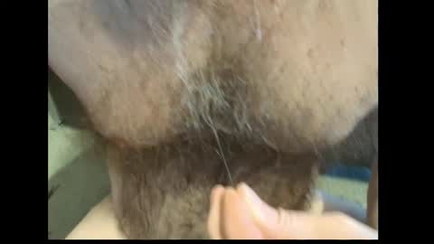 harry_banana online show from February 2026 01:44:01 PM