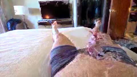 havebeardwilltravel3250 online show from January 2026 07:28:02 PM