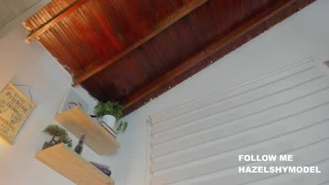 Snapshot of hazel_shy chatting on December 2024 02:43:01 AM Im Hazel online show from December 2024 02:43:01 AM